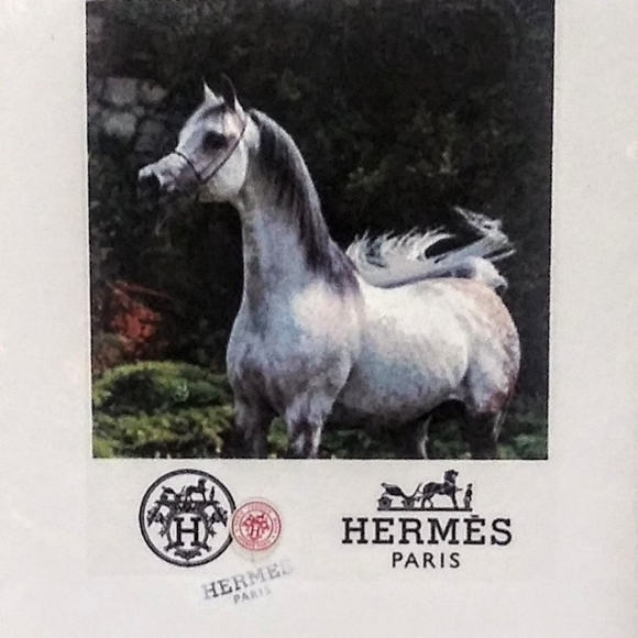 HERMÉS, Arabian Stallion Print, By Fairchild Paris - Picture 5 of 12